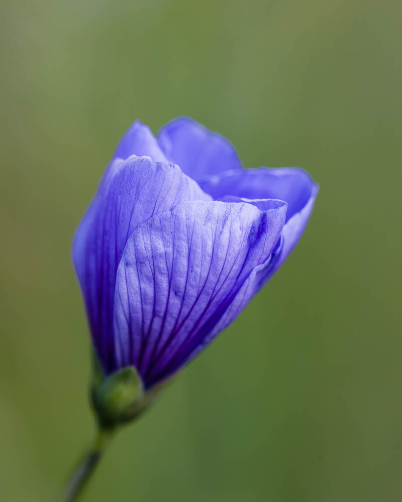 20150722-_A4Q8028.jpg