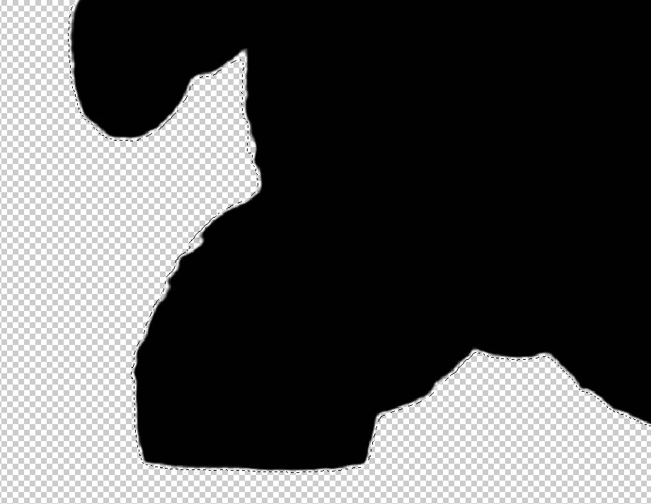 bear.jpg