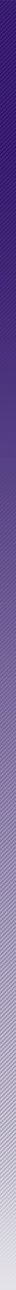 bg.gif