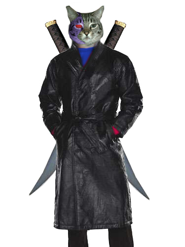 catman.jpg