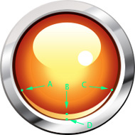 example.jpg