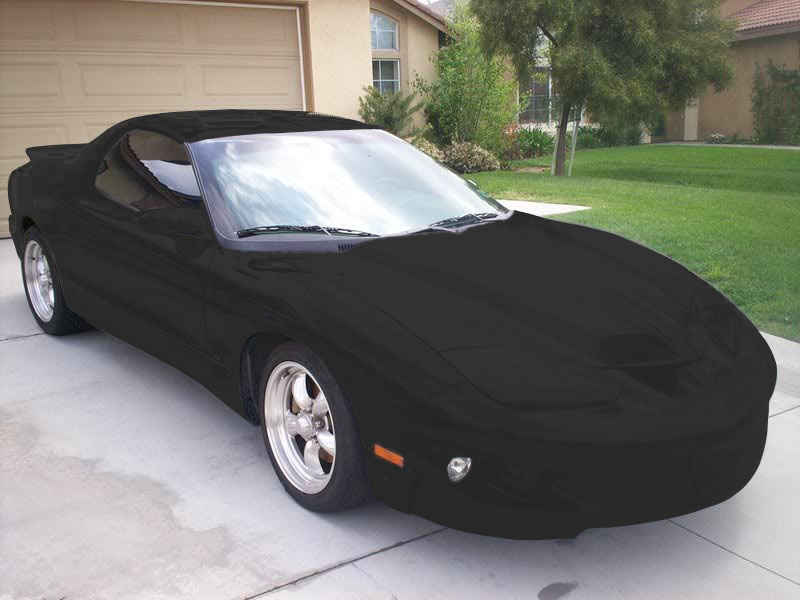 f8xfmm17.jpg