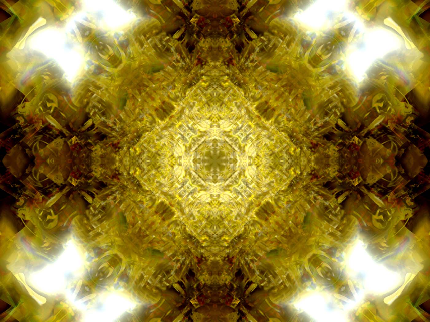Golden Glow.jpg