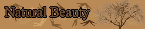 naturalbeauty.png