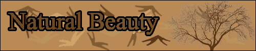 naturalbeauty.png