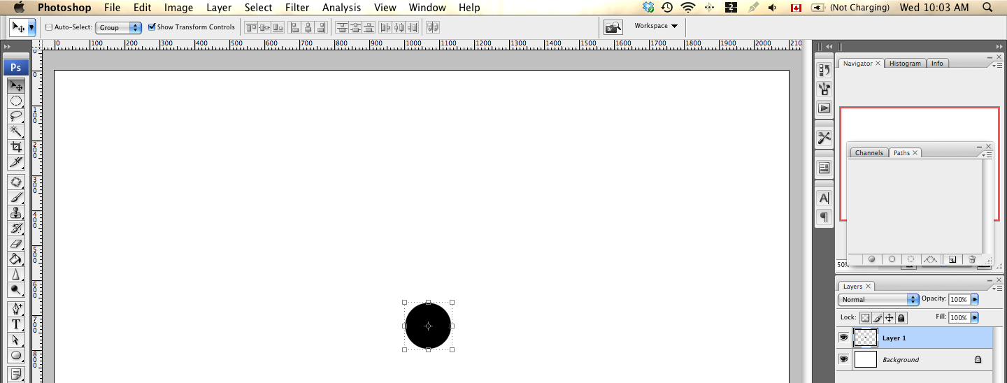 Picture 1.png