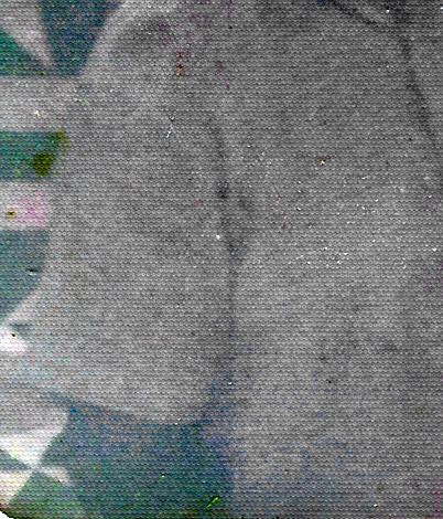 red_pic_sample_165copy.jpg
