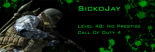 SIG COD4 copy.jpg