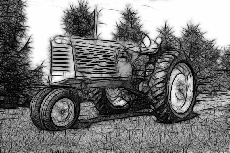 trucku.jpg