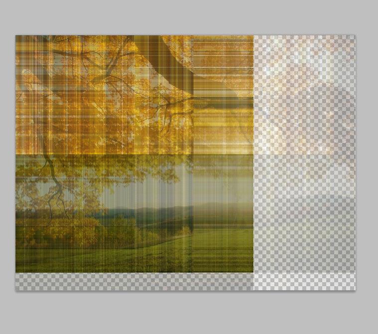 Untitled2.jpg