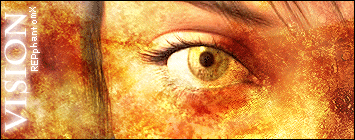 vision.gif