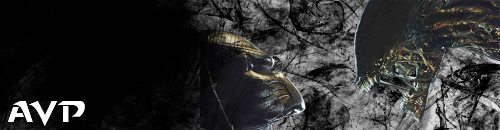 Avp.jpg
