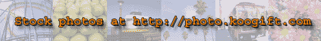 banner.gif