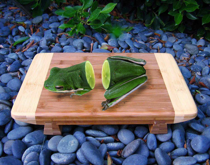Frog on a chopping board2.jpg