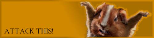 HAMMY.jpg
