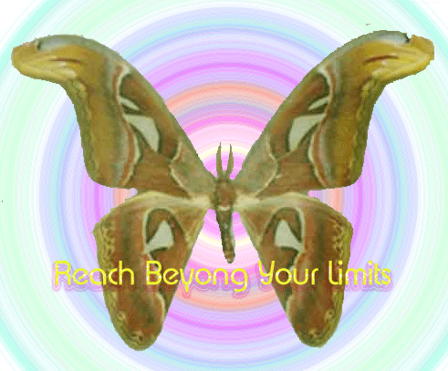 limits.gif