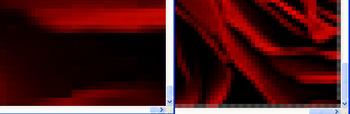 red-roses-edge-before-and-a.jpg