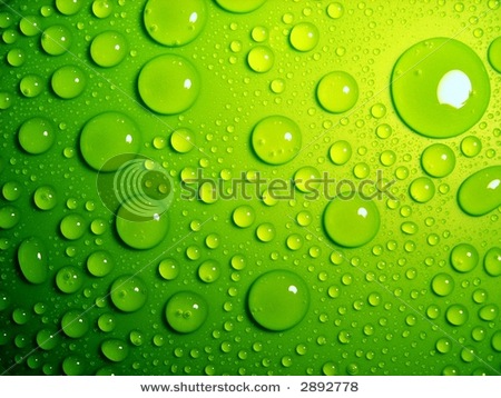 stock-photo-water-drops-on-green-2892778.jpg