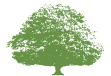 tree.jpg